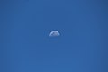 Centralized moon.jpg