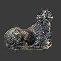 Androcephal bull-AO 2752-P5280793-grey.jpg