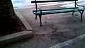 File:Ptica 20130926 120725.ogv