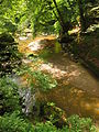 11-Floßtümpel.JPG