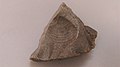 Fossil from Hama.jpg