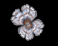 Agate17.png
