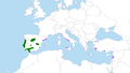 Mapa Pinus pinea.png