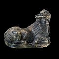 Androcephal bull-AO 2752-P5280793-black.jpg
