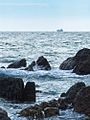 Abaconda tauranga sea.jpg