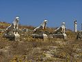 Delos 3031.jpg