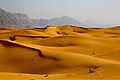 Shifting Sands.jpg