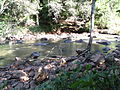 Arroio Feitoria 006.JPG