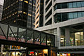 Auckland New Zealand-257.jpg