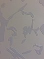 Stencil process 3.jpg