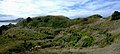 Terraces-1.jpg