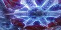 File:-- Ventricle Capture.webm