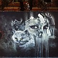 @aqiluciano2.jpg