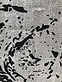 Fragments-Cathedral-Detail-3.jpg