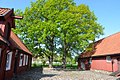 Fredriksvern-medium-eik-Birgit-Broso.jpg