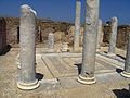 Delos 3044.jpg