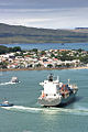 Auckland-1422.jpg