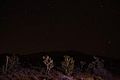 File:Nevada Star Video.webm
