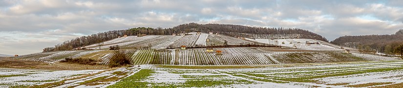 Falkenstein-1040423-Pano.jpg