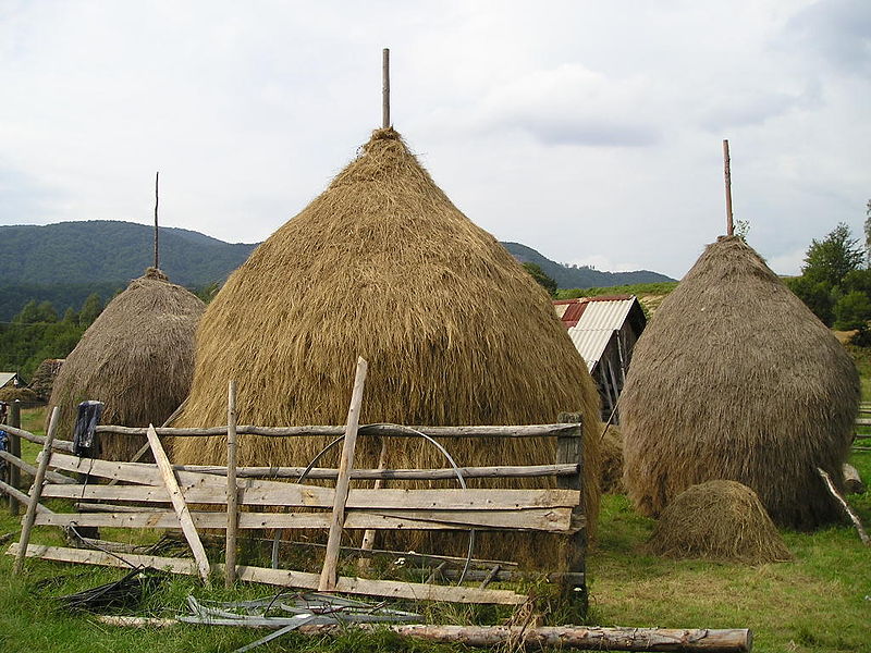 File:" Cabeza de paja " en Valea Gugi.JPG