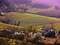 " PRIMAVERA IN ROMAGNA ".JPG