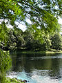 Abaconda park-1.jpg