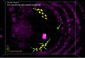 File:5D-imaging-via-light-sheet-microscopy-reveals-cell-dynamics-during-the-eye-antenna-disc-primordium-srep44945-s3.ogv
