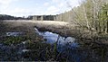 Robergvannet-medium-Birgit-Broso.jpg