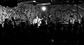 Aqueous-wiki-java.jpg