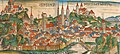 Bambeg-1493.jpg