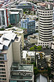 Auckland, New Zealand-1412.jpg