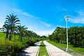 Kaohsiung Metropolitan Park3.jpg