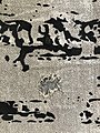 Fragments-Cathedral-Detail-1.jpg