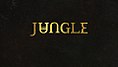 Jungle (Джунгли).jpg