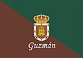 Bandera Guzmán.jpg