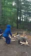 File:Wood cleaving - 2016.webm