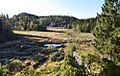 Elva-lite-Fylkesmannen-i-Vestfold.jpg