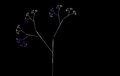 Arbre fractal.png