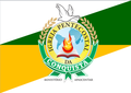 Bandeira Oficial.png