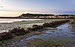 Peyriac-de-Mer, february 2018 (03).jpg