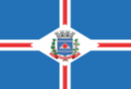 BANDEIRA DE RINÓPOLIS.png