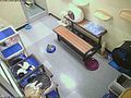 Petco adoption center.jpg