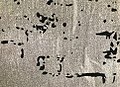 Fragments-of-a-memory-4-detail.jpg