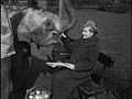 File:''Paasolifant'' in Artis-522839.ogv