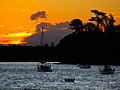 Abaconda tauranga sun.jpg