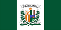 Bandeira Parambu.png
