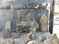 Fossils at dholavira.jpg