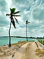 Paraíso del caribe.jpg