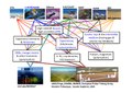 Eastrogamincontext.pdf